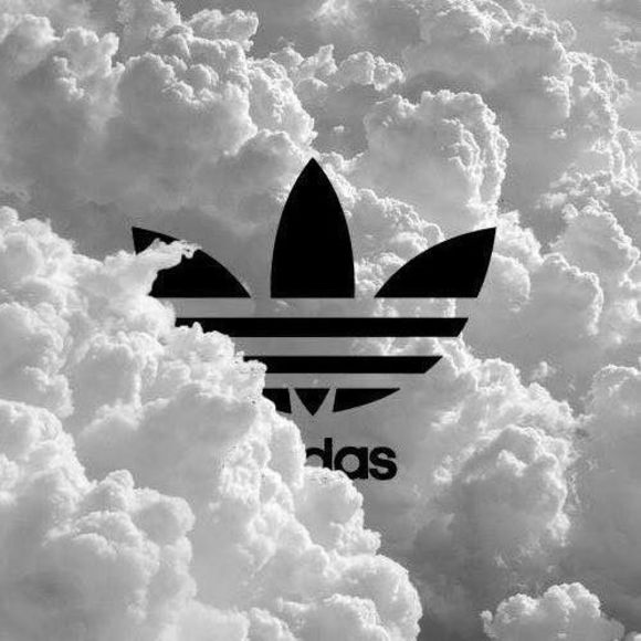 Meet your Posher, Mitchell - Picture 1 of 1